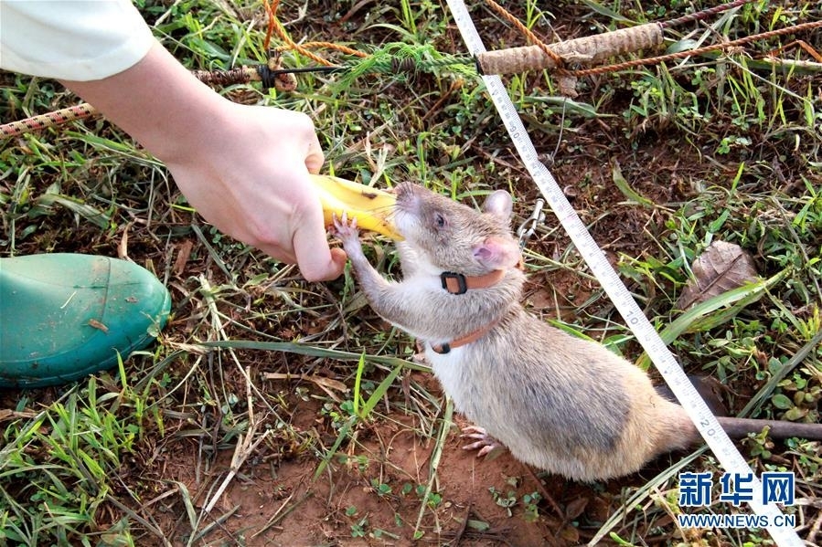 又一上市药企;核心高管提前退位！