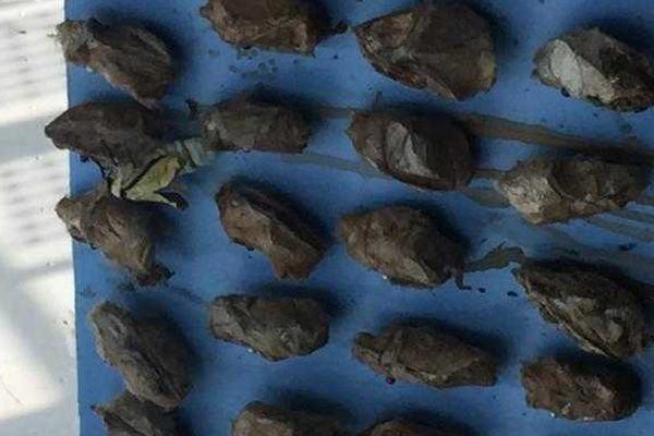 索尼{因}动.漫热播、芯片业务繁荣及回购计划而大涨