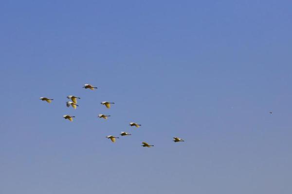 欧<洲>债市：鲍威尔鸽派论调推动欧债上涨: