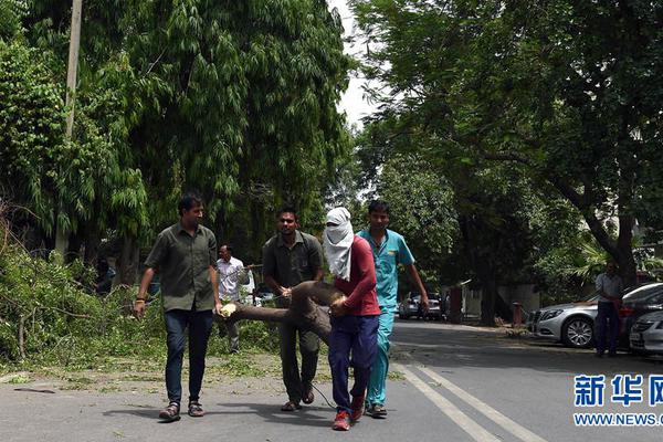【光大策略＆海<外>】11月a股及港股月度金股组合