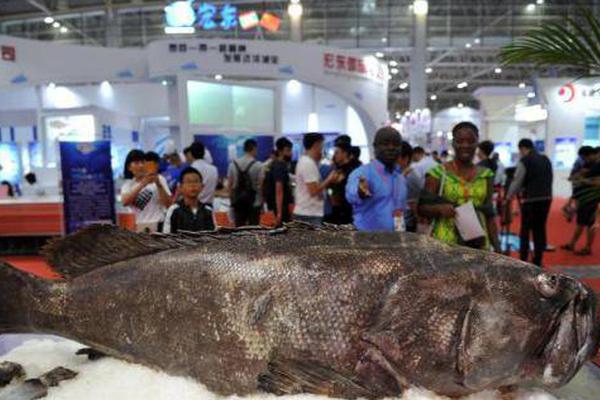 诚,迈科技!：聘任证券事务代表