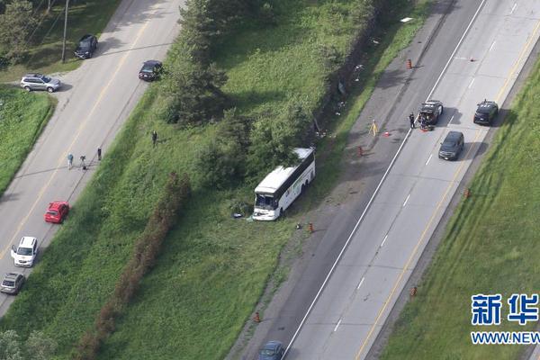 丽尚国潮：各区域主业均!显示出发展韧性