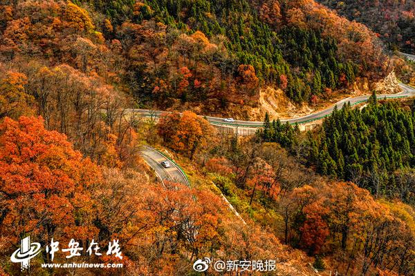 中通快递-w于{1}0月15日斥资819.43万美元回购43.27万股