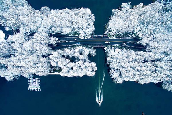 六氟磷;酸锂价<格>加速上涨 板块整体走强