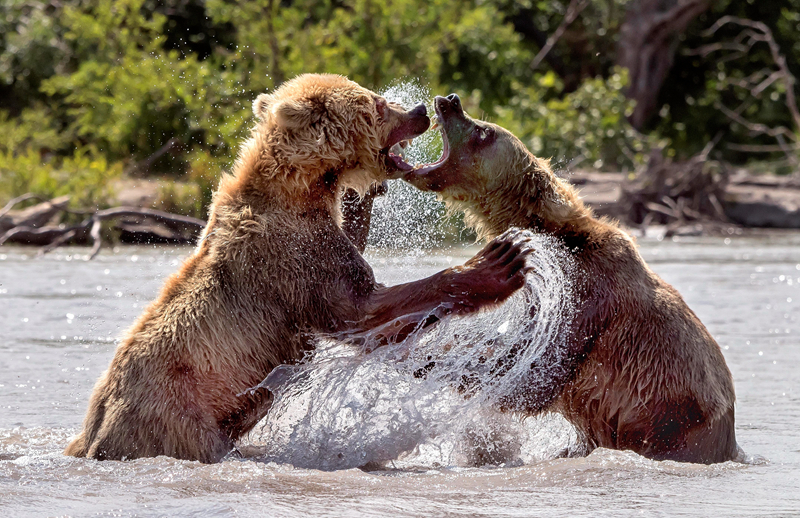 今,创集团:(603680.sh)：2025年三季报净利润为4.93亿元