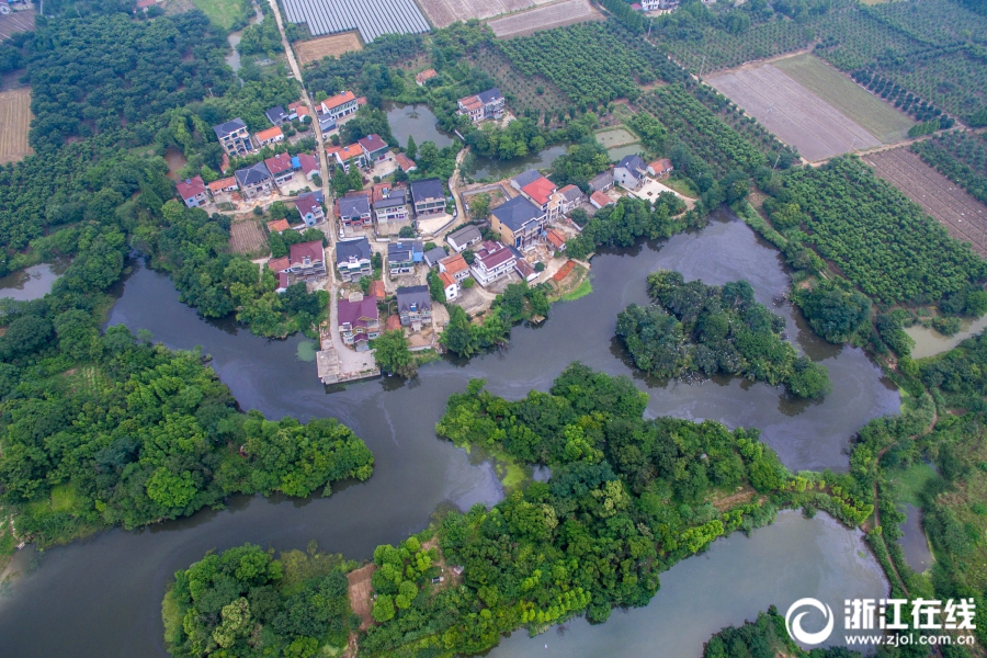 向?日葵10—月15日龙虎榜数据