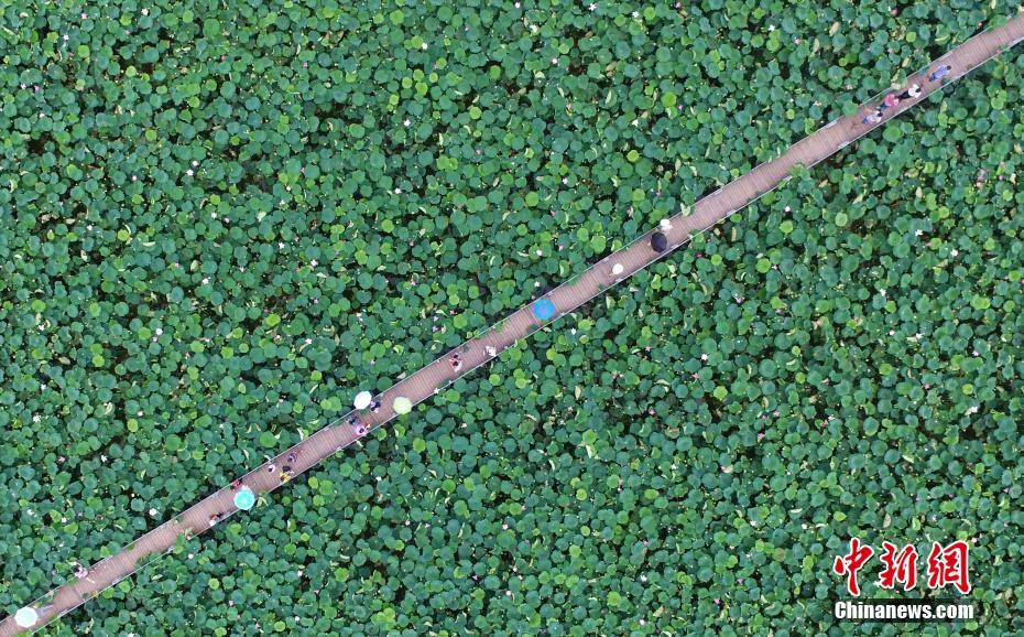 新能源重卡“银十”：.再破2万辆！<徐>工争冠！重汽领涨！top5月销2000 